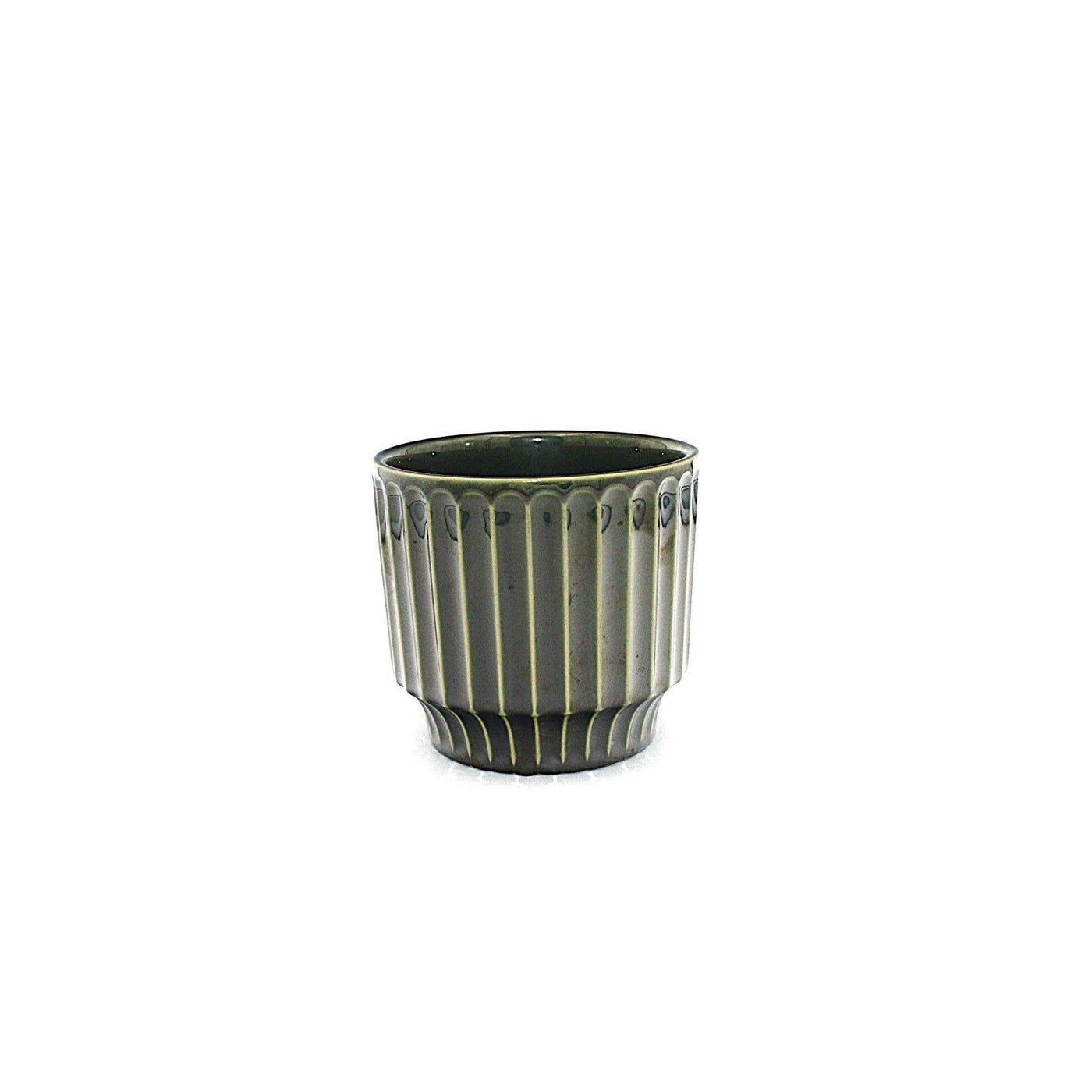 Potted - Medium Pillar Myrtle - Planter