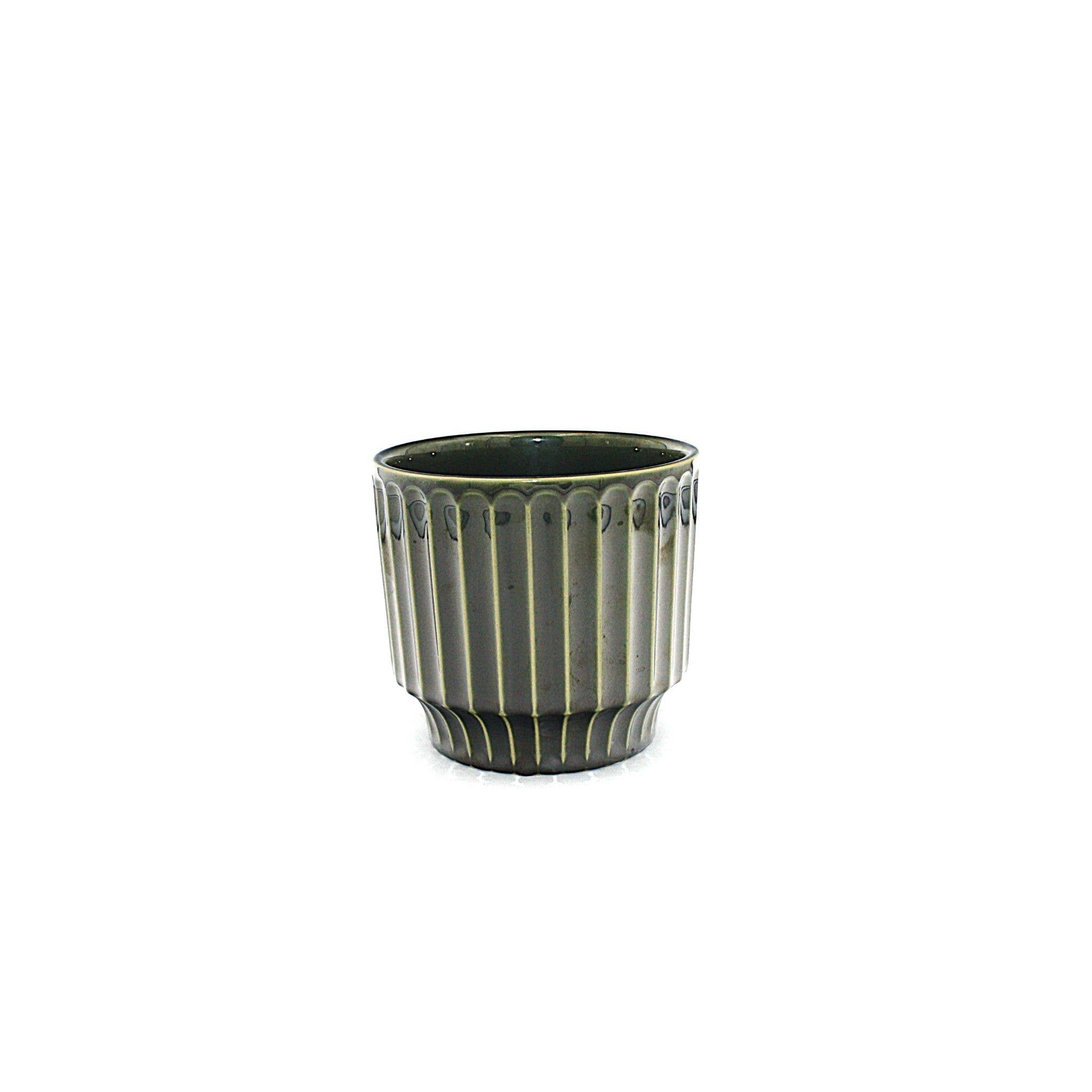 Potted - Medium Pillar Myrtle - Planter