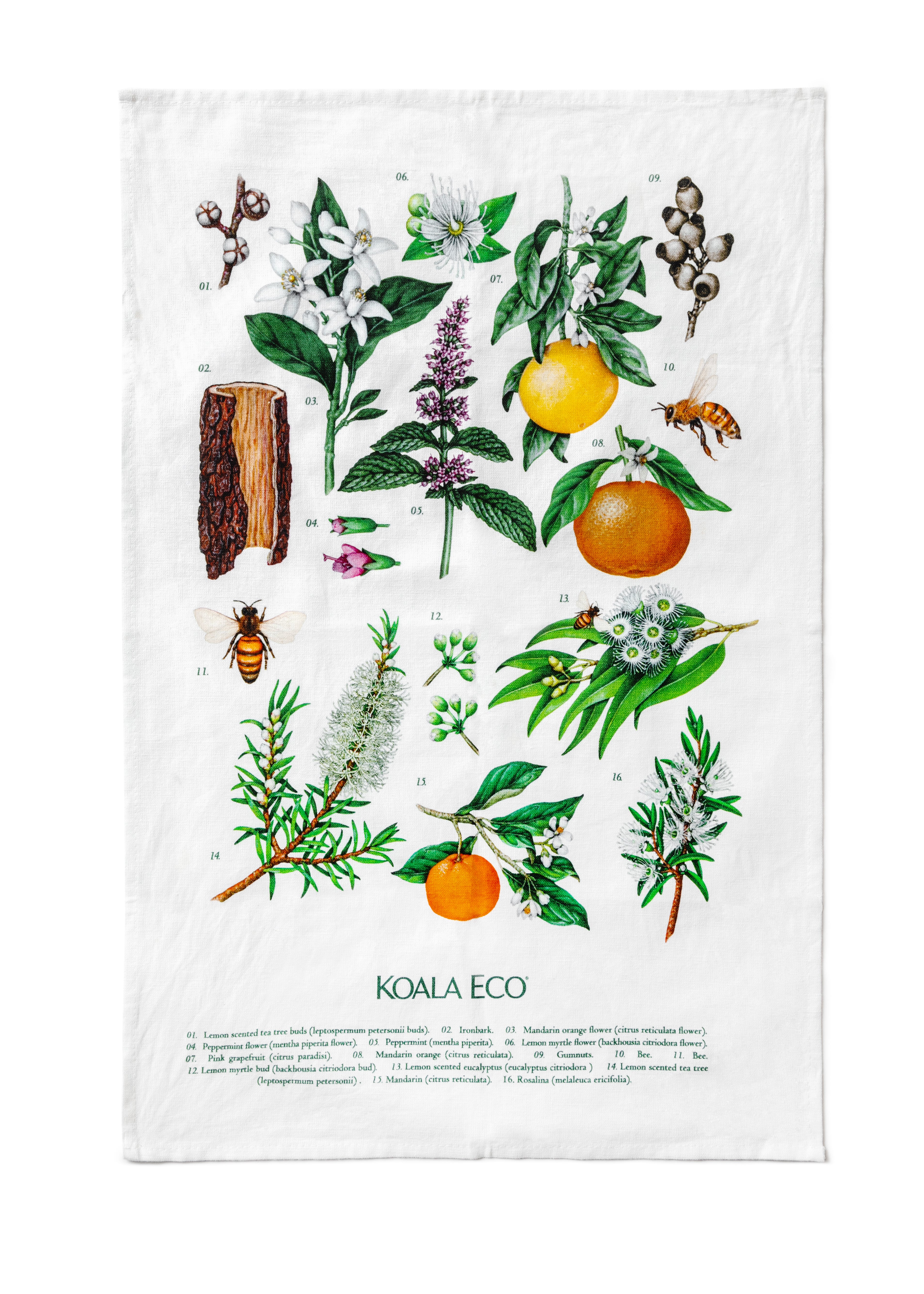 Koala Eco Botanical - Tea Towel