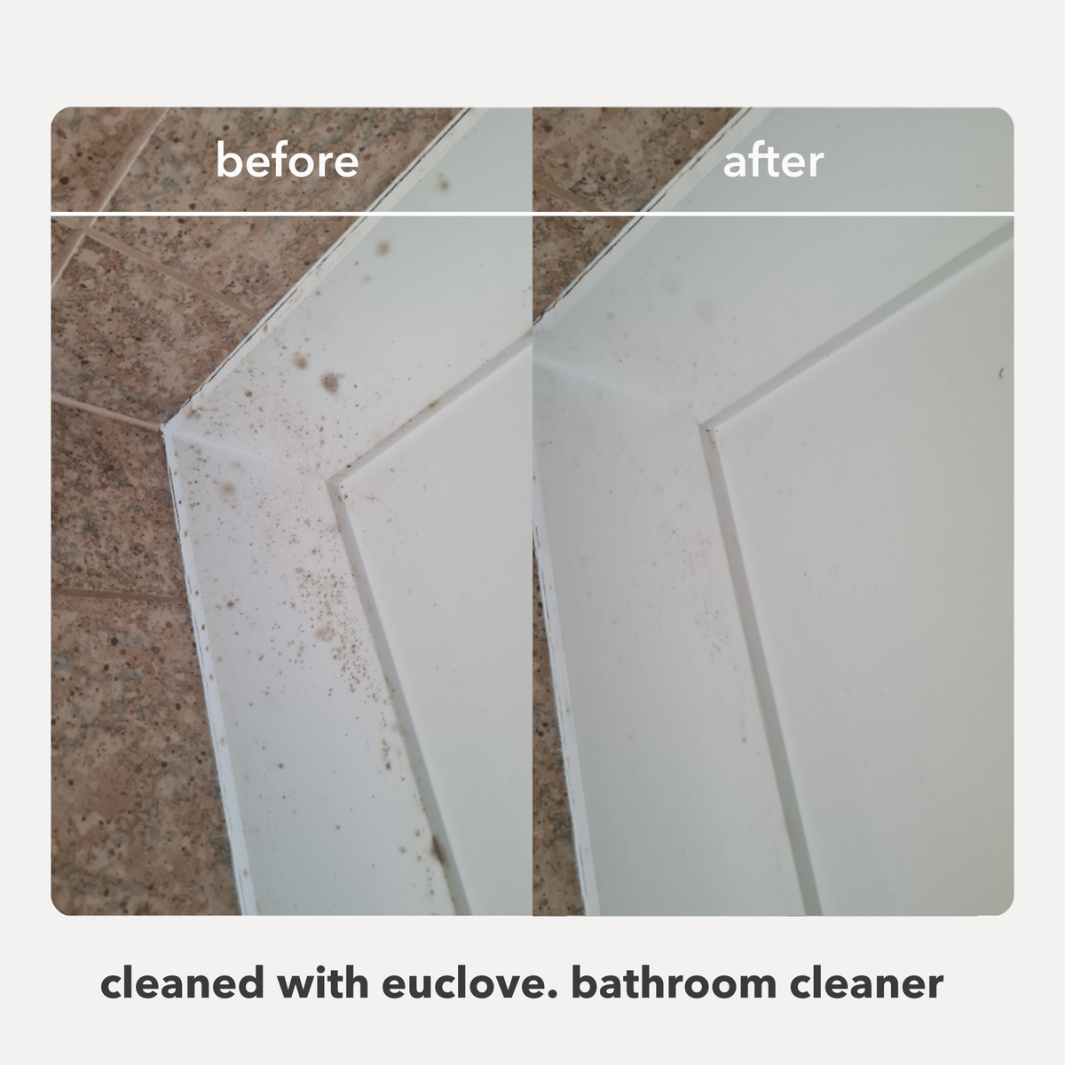 Euclove Bathroom & Mould Cleaner key features and benefits