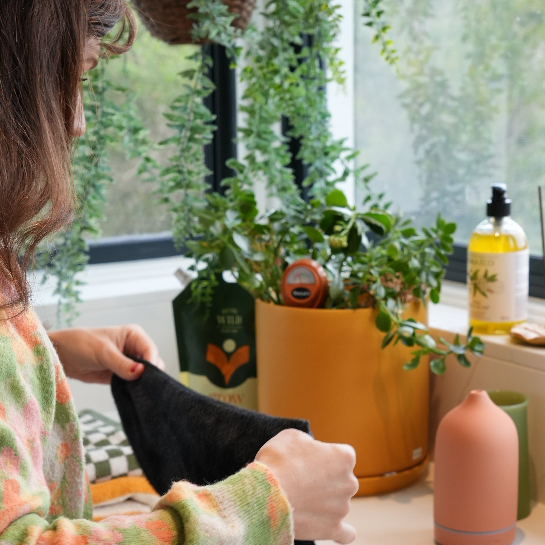The Low-Tox Home Consult