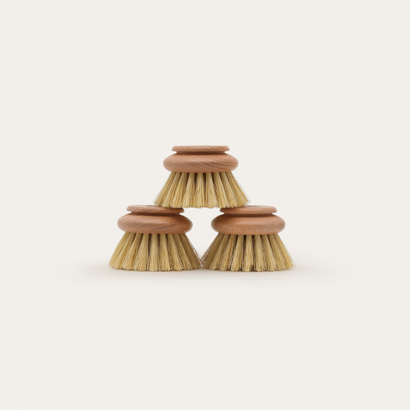 Seed & Sprout - Head Replacement - Dish Brush