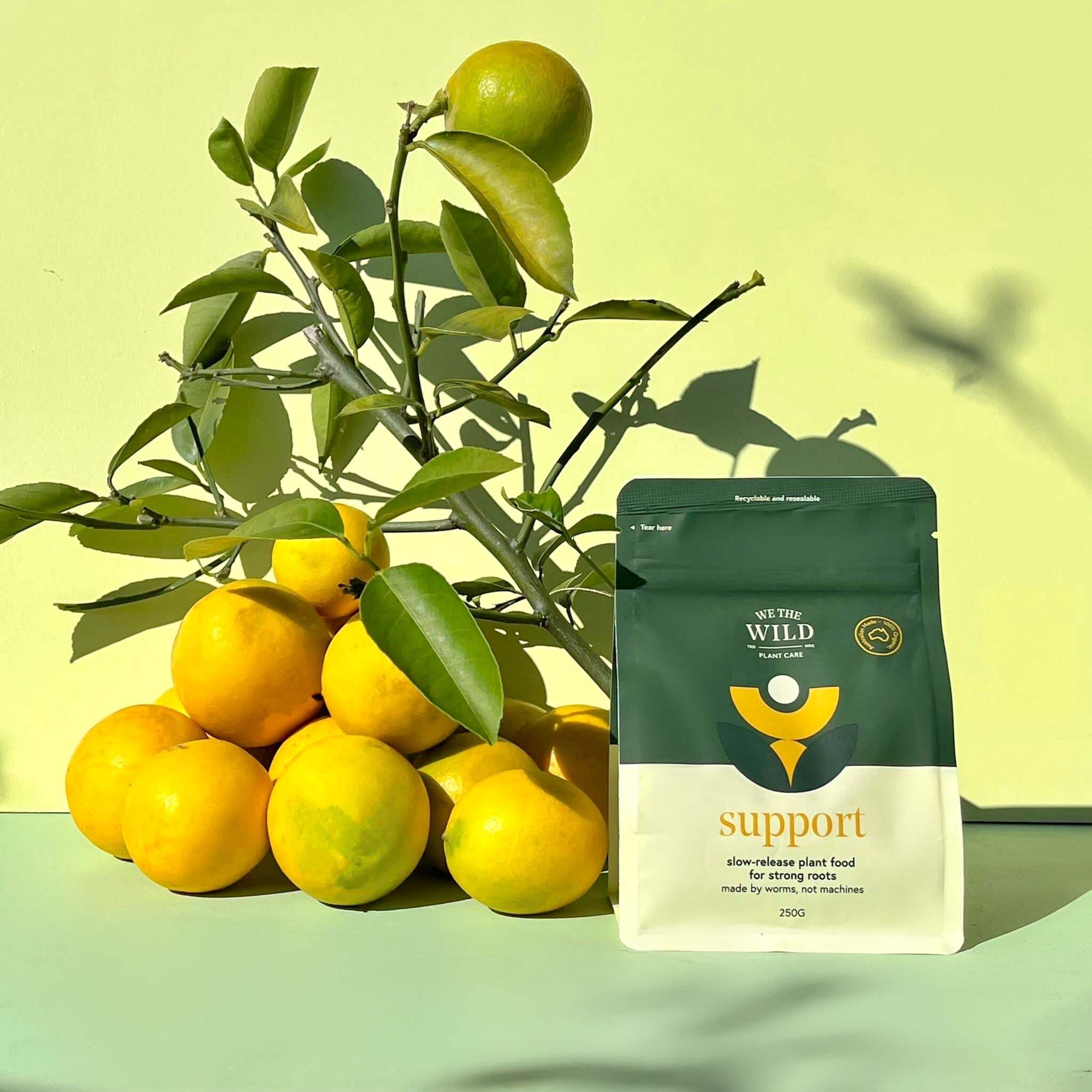 We The Wild Plant - Slow Release Organic Plant - Support Pellets