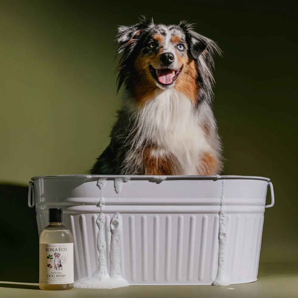 Koala Eco - Natural Sweet Marjoram, Rosalina Essential Oil - Dog Wash