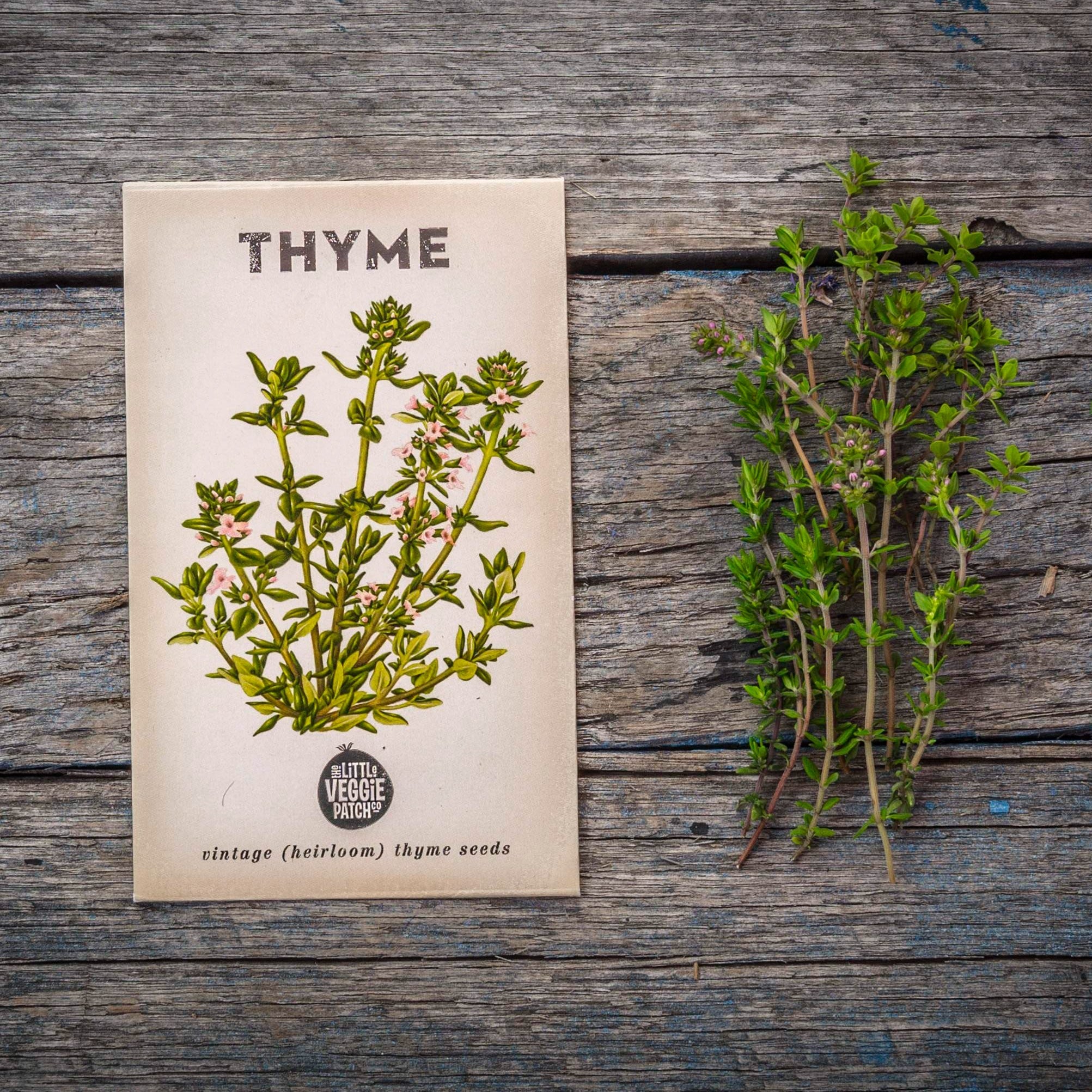The Little Veggie Patch Co - Thyme Summer Heirloom - Seeds