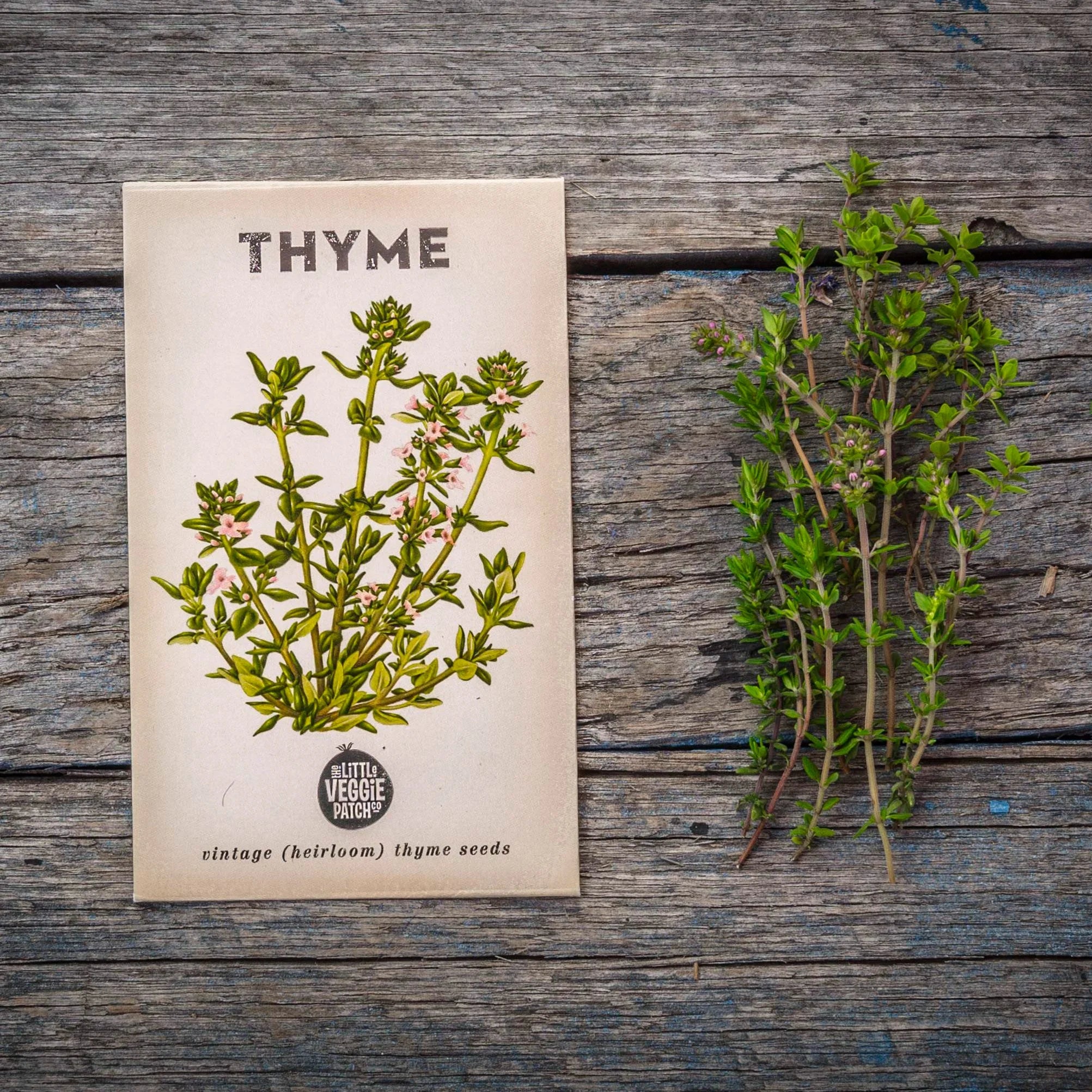 The Little Veggie Co - Patch Thyme Summer Heirloom - Seeds