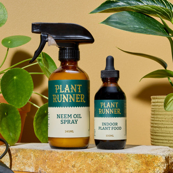 Plant Runner - Plant - Parent Essentials