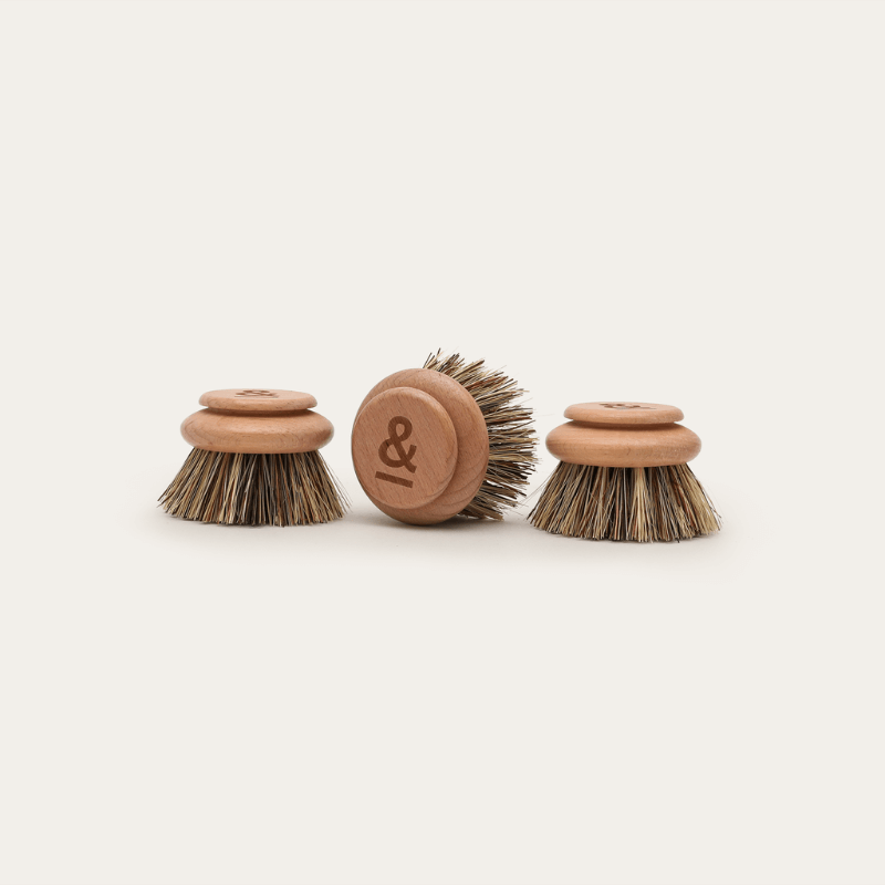 Seed & Sprout Tough Dish Brush Replacement Heads