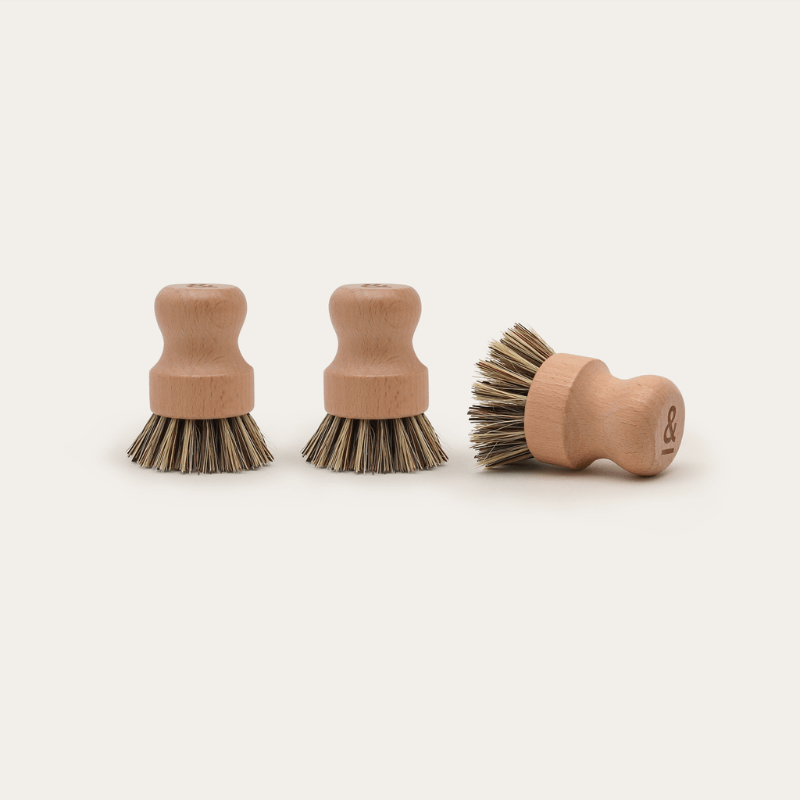 Seed & Sprout - Refills - Pot Scrubber