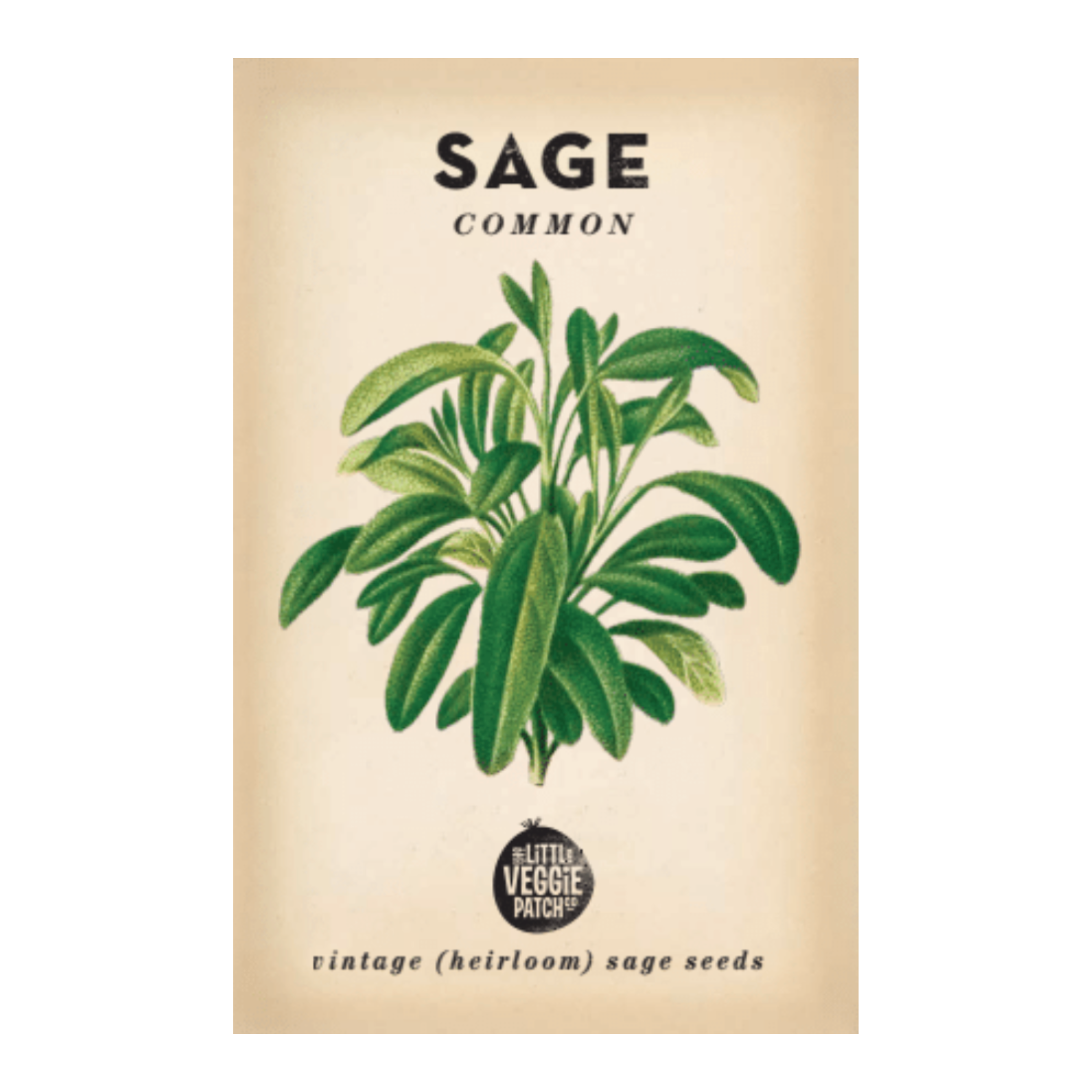 The Little Veggie Co - Sage Common Heirloom - Seeds