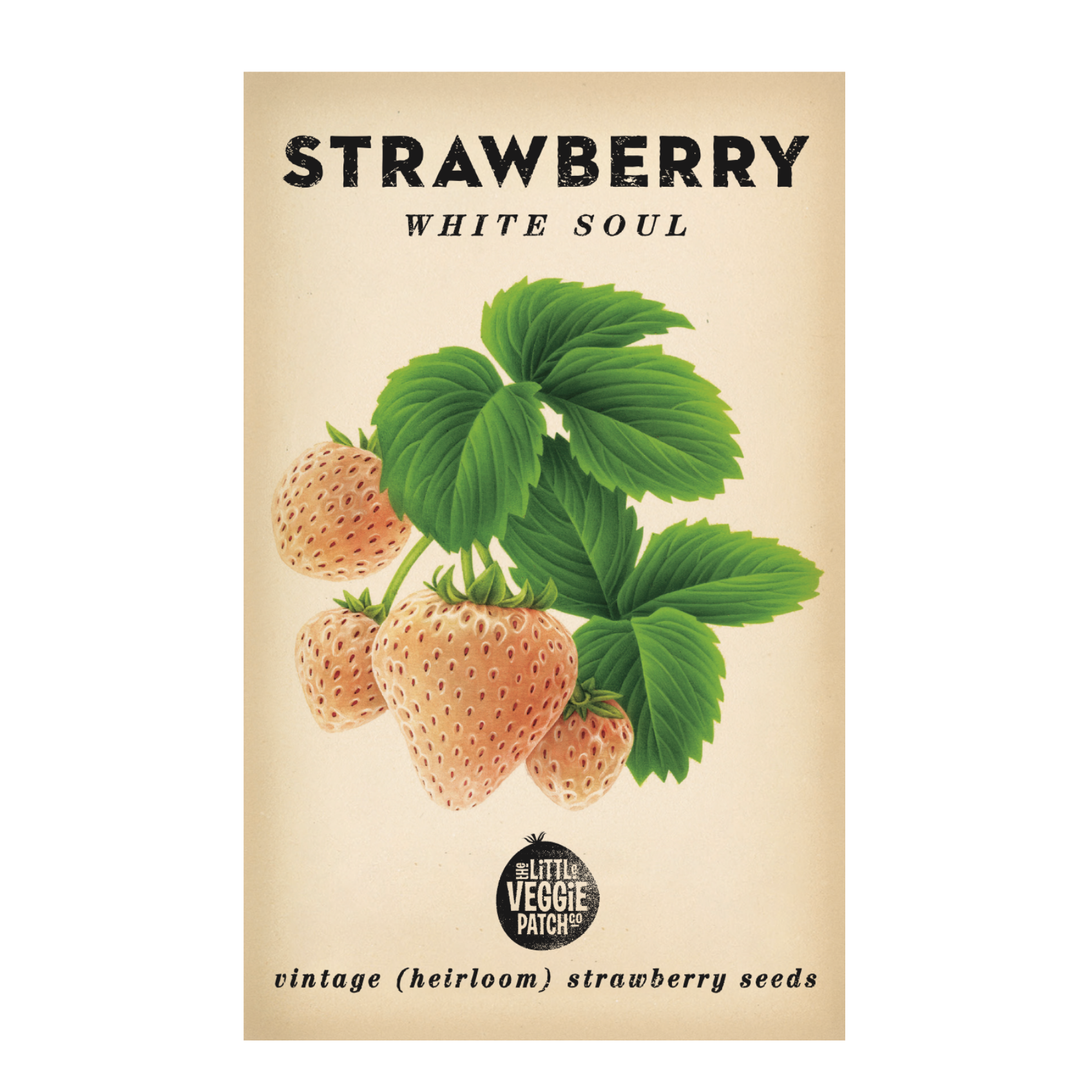 The Little Veggie Patch Co - Strawberry White Soul Heirloom - Seeds