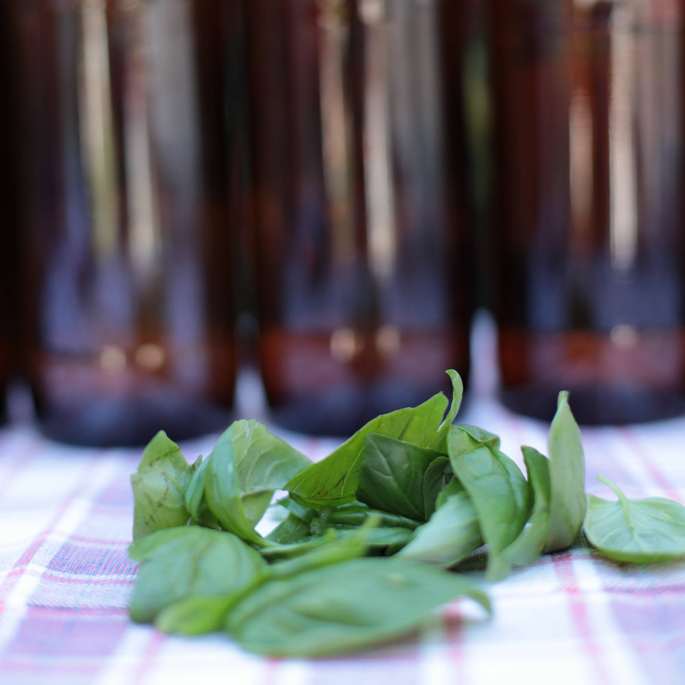 The Little Veggie Patch Co - Basil Large Sweet Genova Heirloom - Seeds