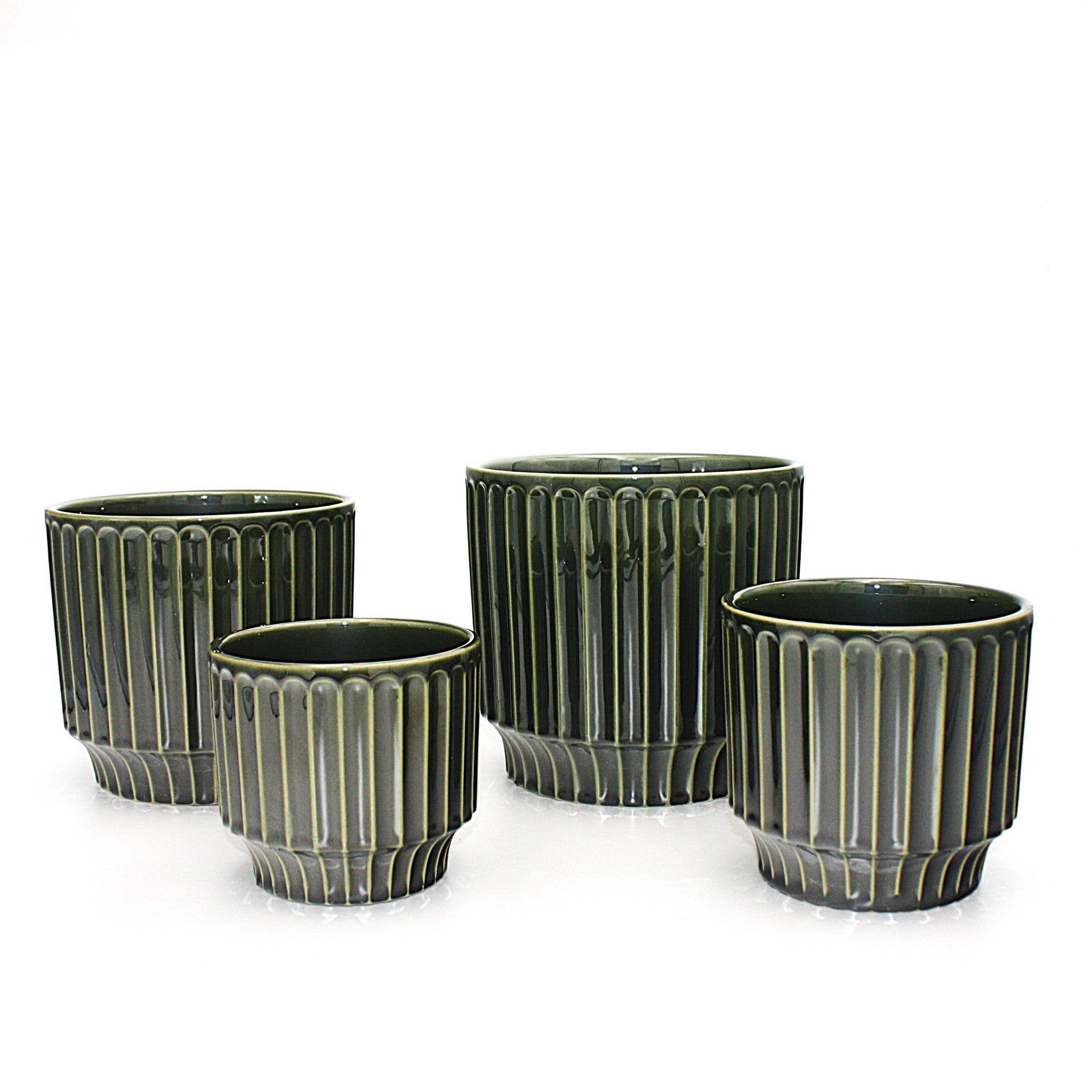Potted - Medium Pillar Myrtle - Planter