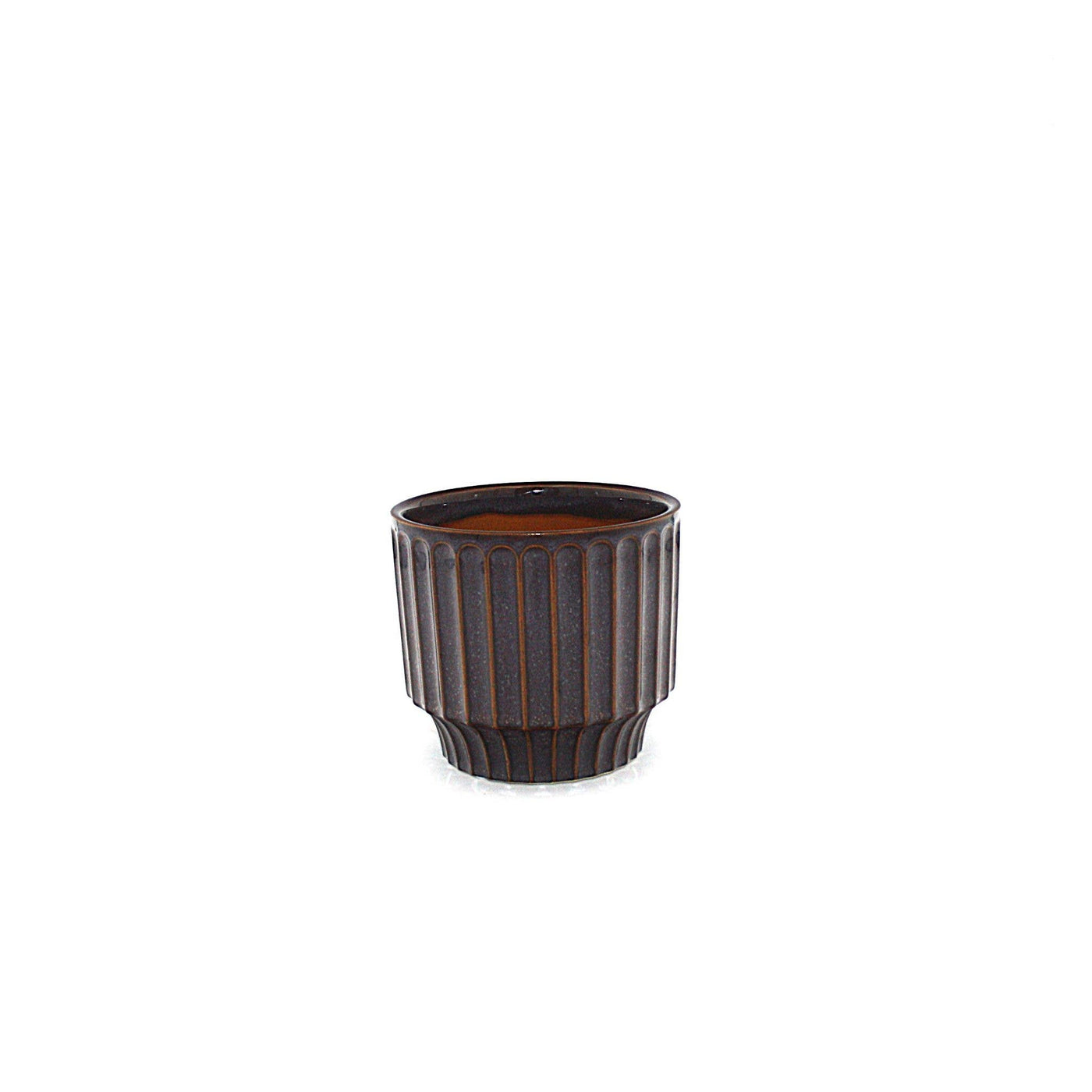 Potted - Small Pillar Plum - Planter