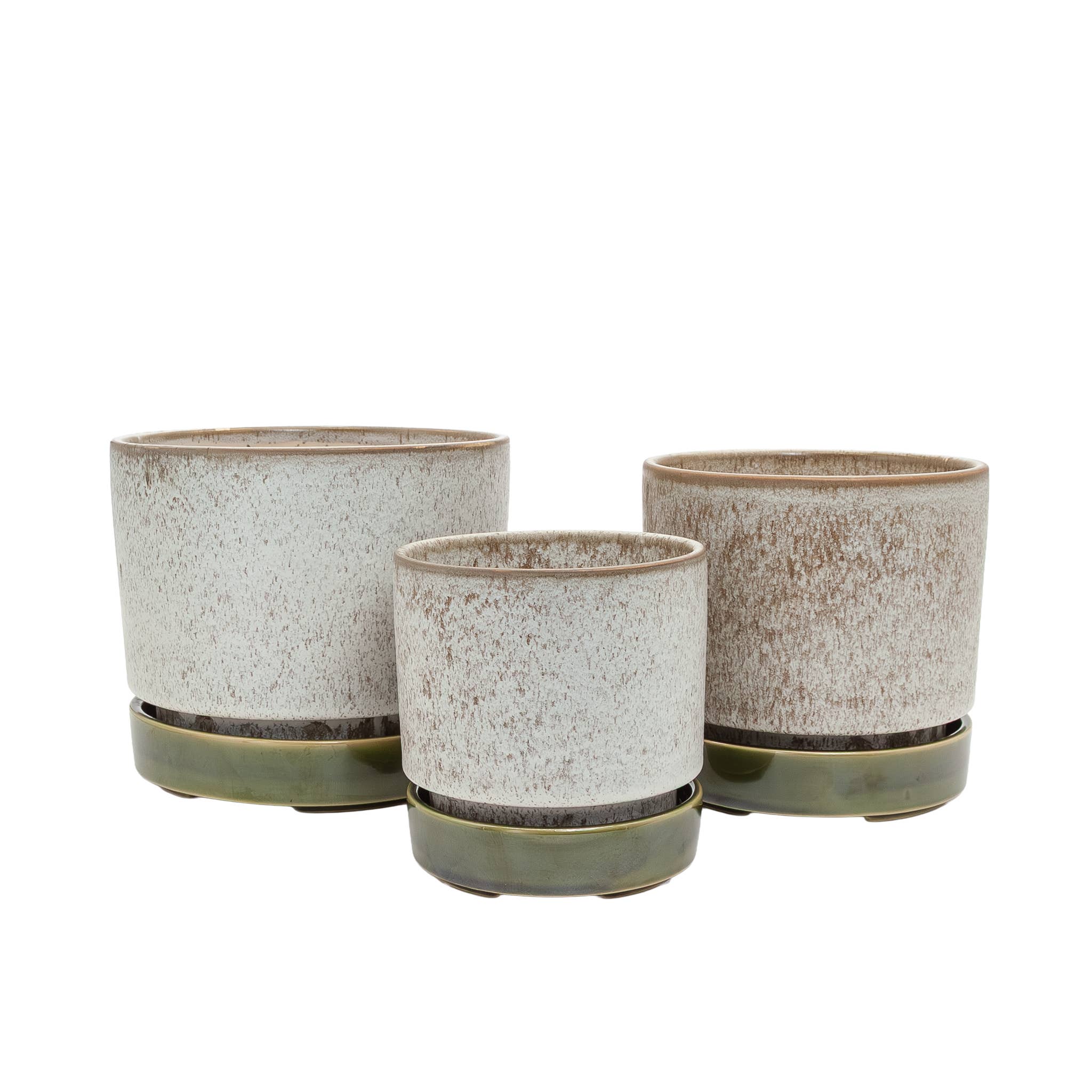 Potted - Large Pollock Limestone - Planter