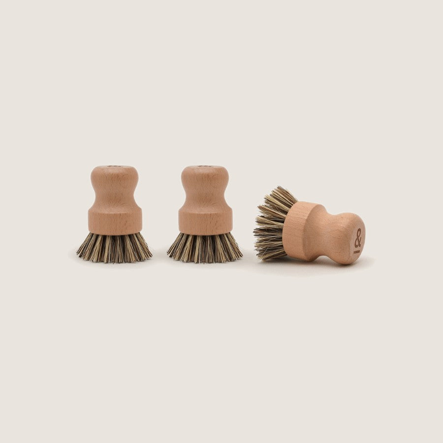 Three Seed & Sprout Tough Pot Scrubbers in beechwood with plant fibre bristles