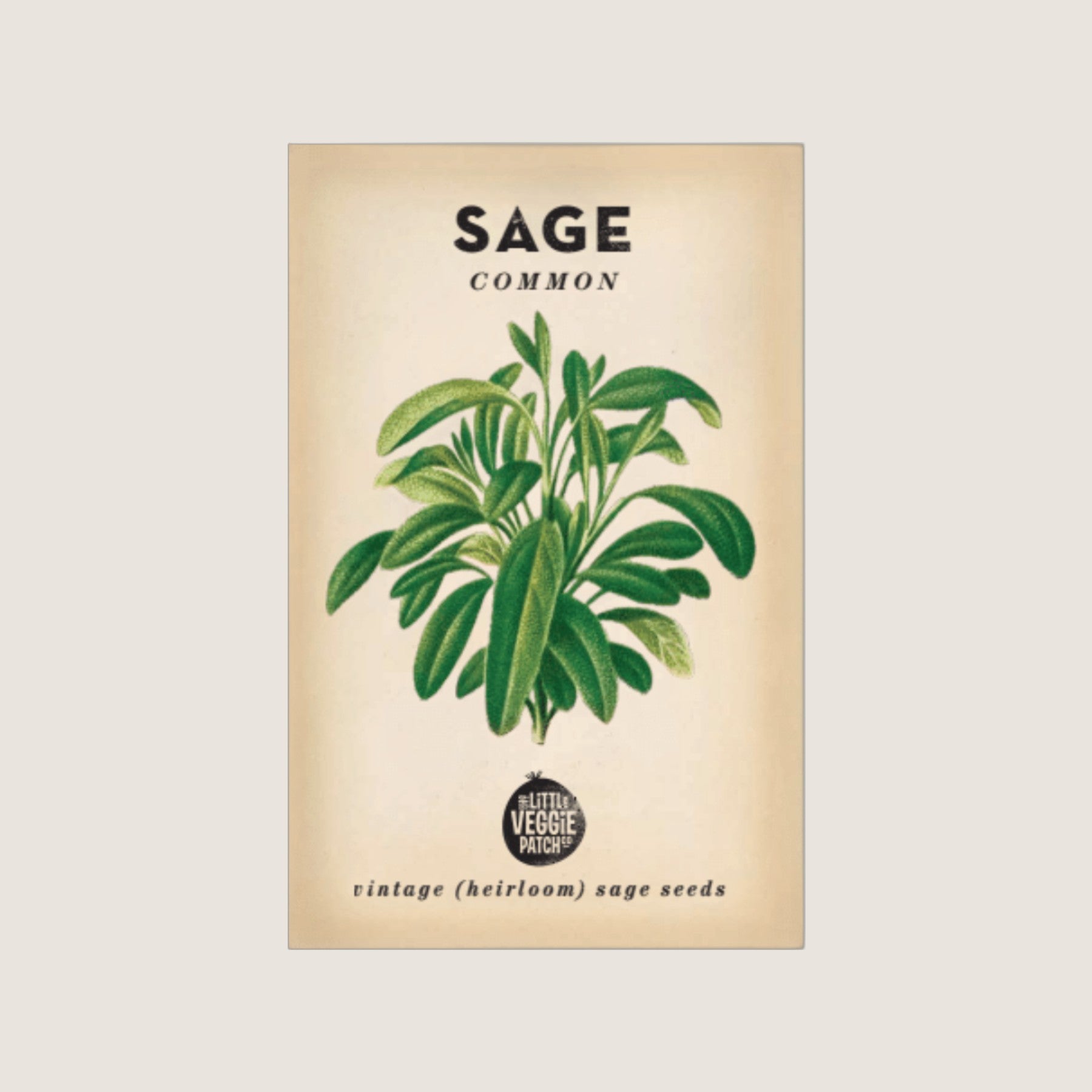 Little Veggie Patch Co Sage Common heirloom seed packet