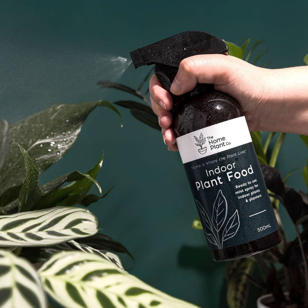 The Home Plant Co - Indoor Plant Food - Foliar Spray