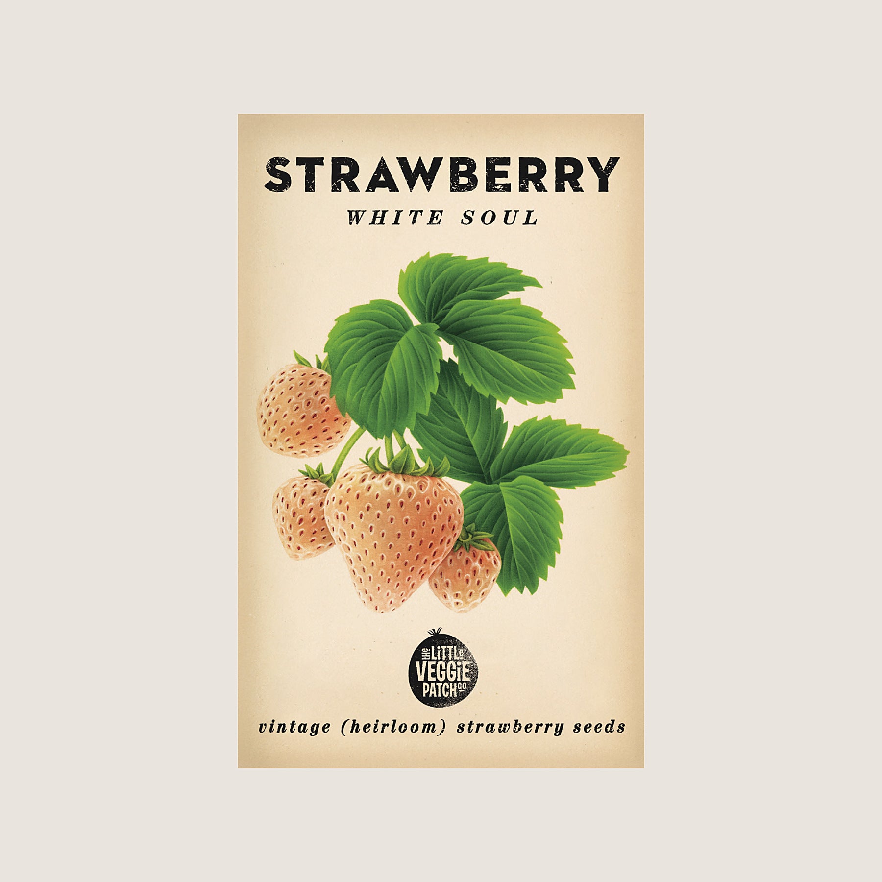 Little Veggie Patch Co Strawberry White Soul heirloom seed packet