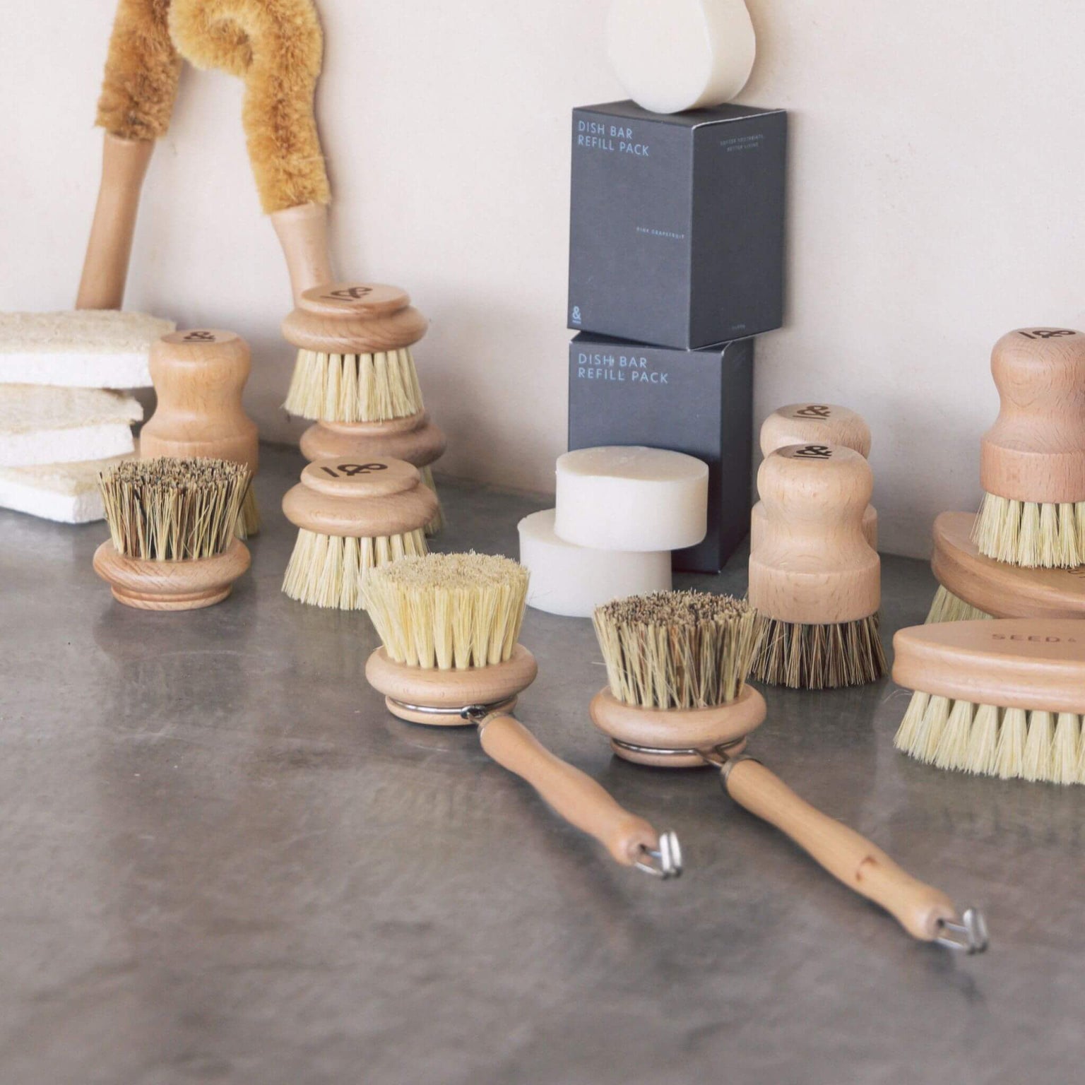 Seed & Sprout - Beechwood - Dish Brush