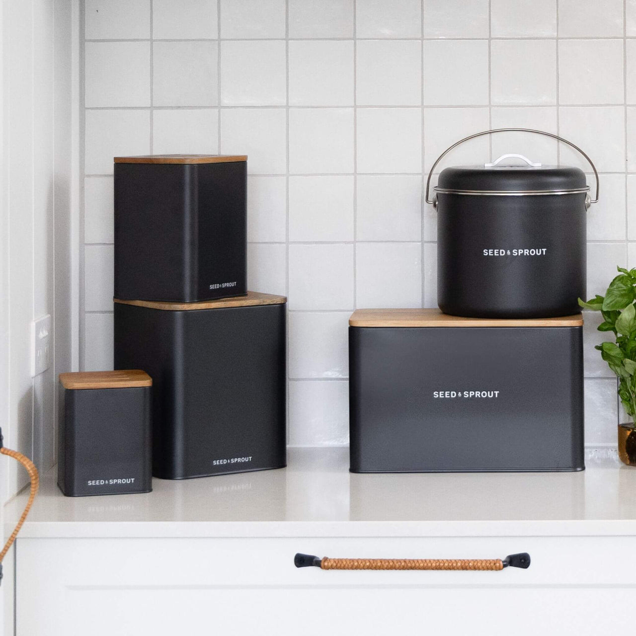 Seed & Sprout - Liquorice Storage Container - Vegetable Box
