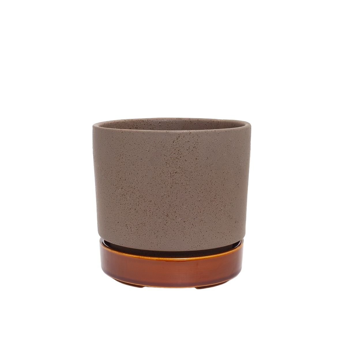 Potted - Oxide Pollock - Planter