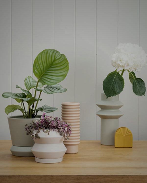 Potted