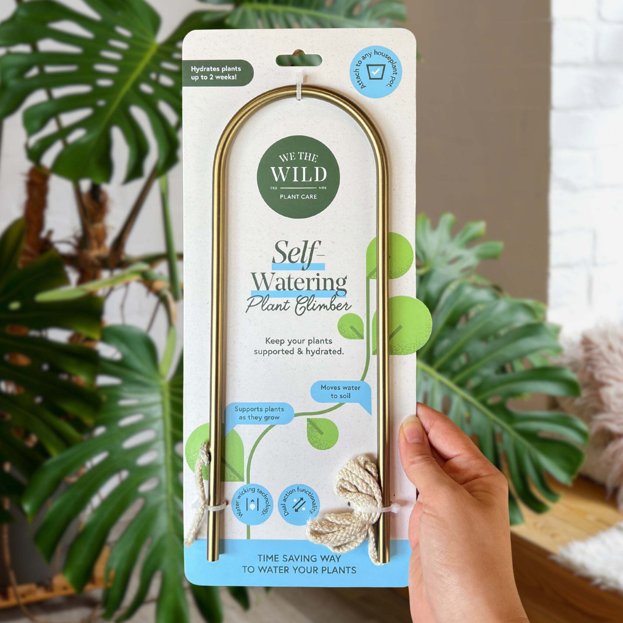 We The Wild - Grow Self Watering - Plant Globes
