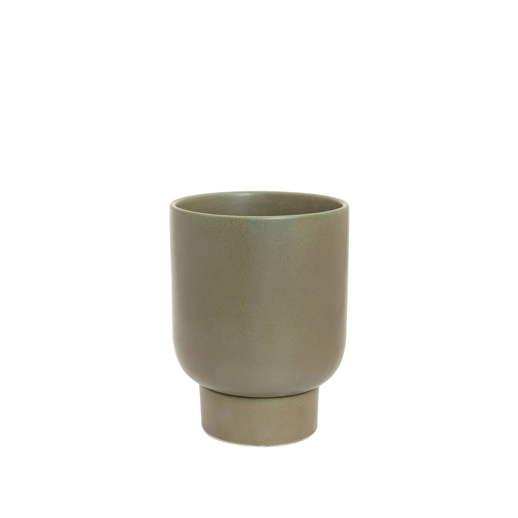 Potted - Small Comet Jade - Planter