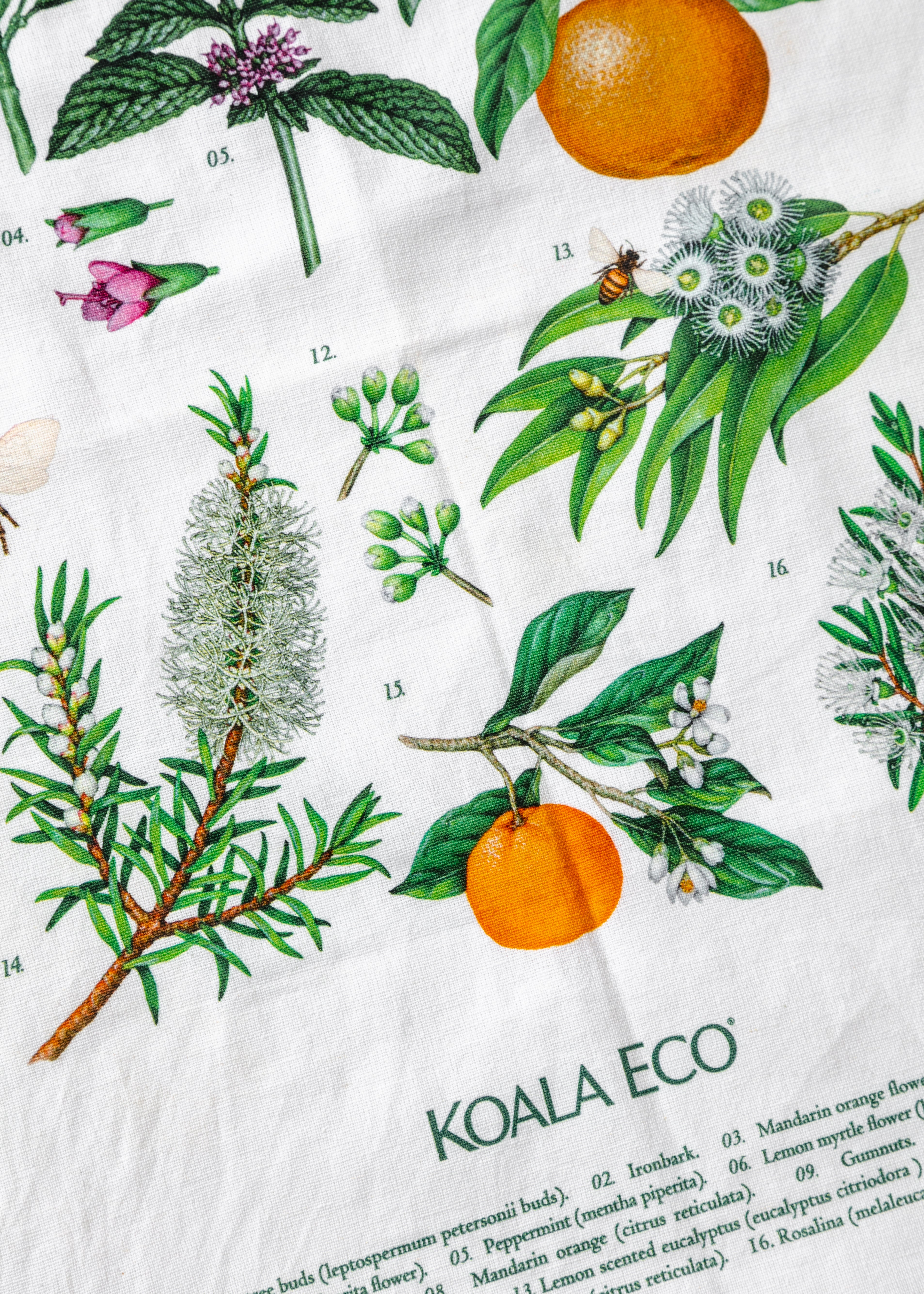 Koala Eco Botanical - Tea Towel