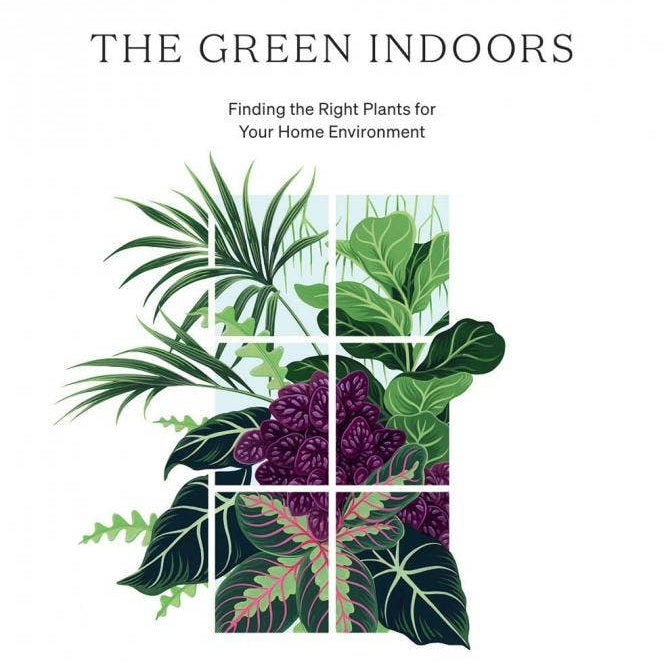 The Green Indoors by Maddie and Alice Bailey, houseplant book, front cover