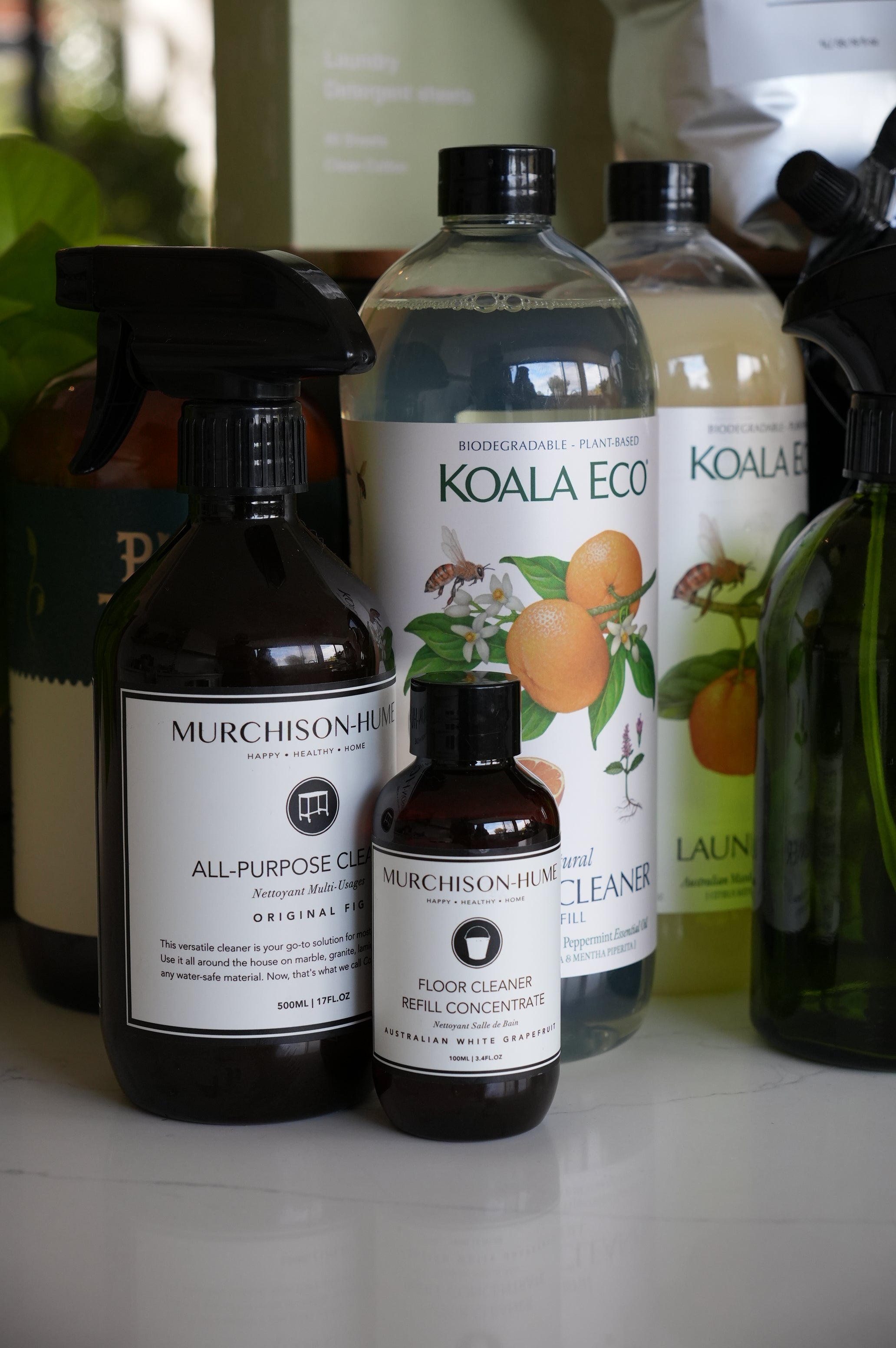 The Low-Tox Home Consult