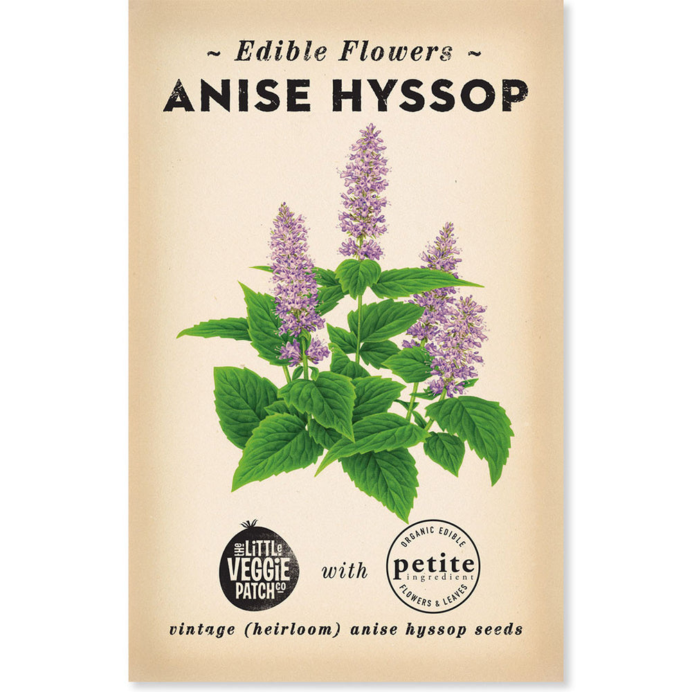 The Little Veggie Co - Hyssop Anise Heirloom - Seeds