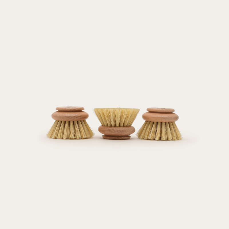 Seed & Sprout - Head Replacement - Dish Brush