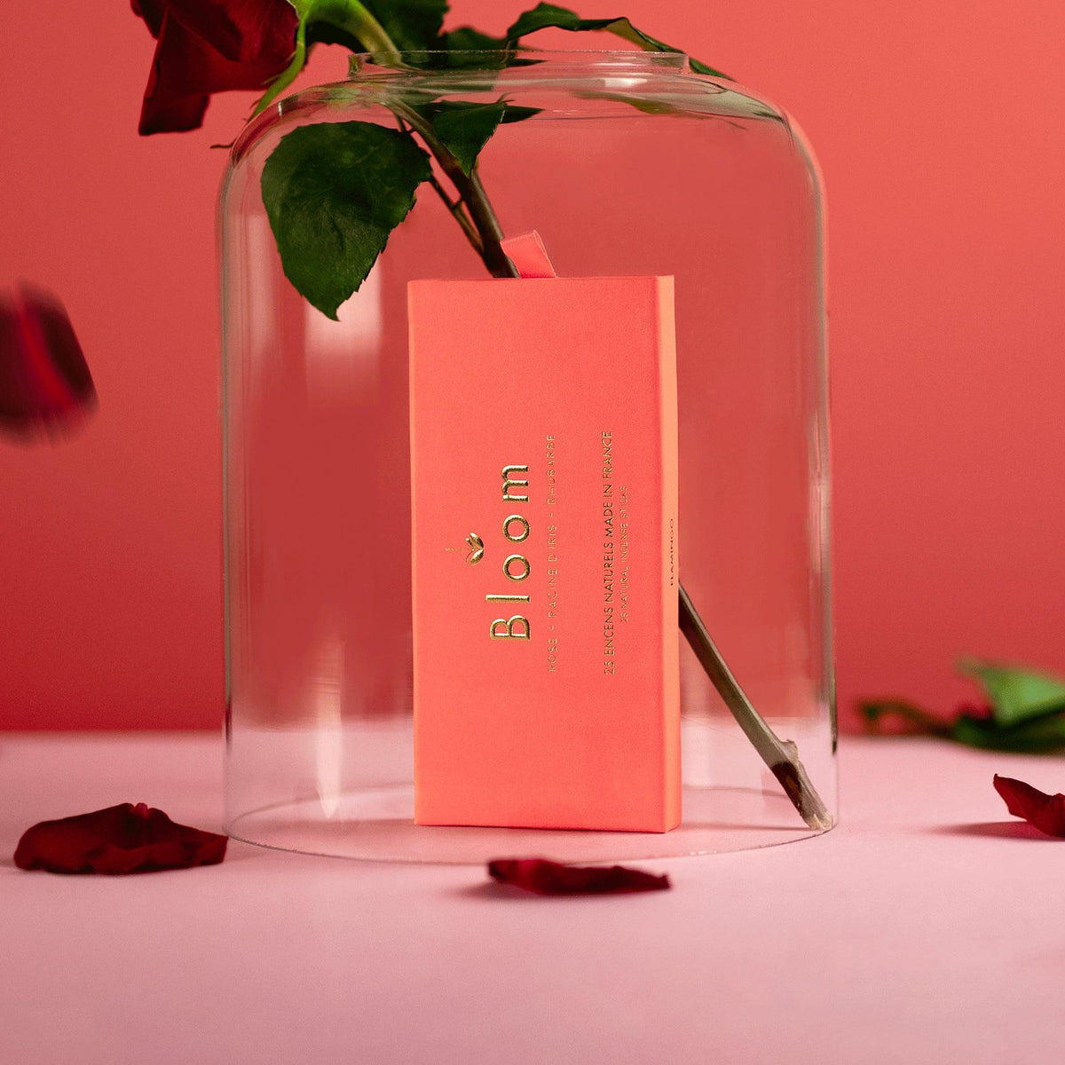 Bloom France Rose incense box styled with a red rose under a glass cloche and scattered petals