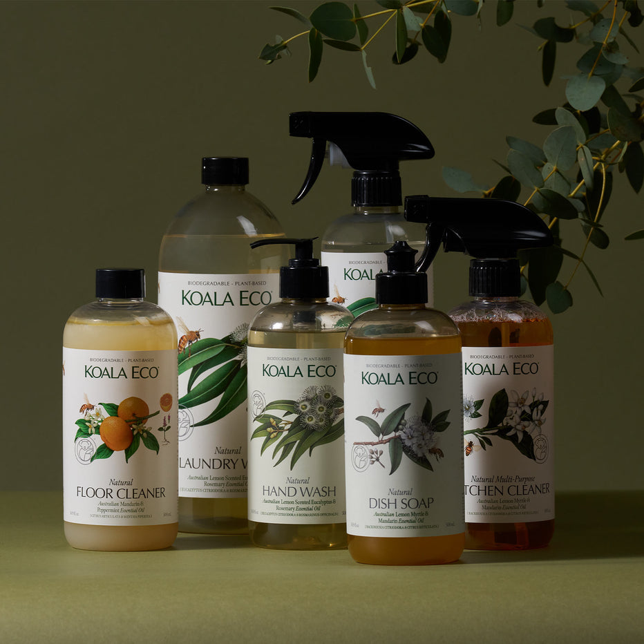 Koala Eco - Best Seller Collection
