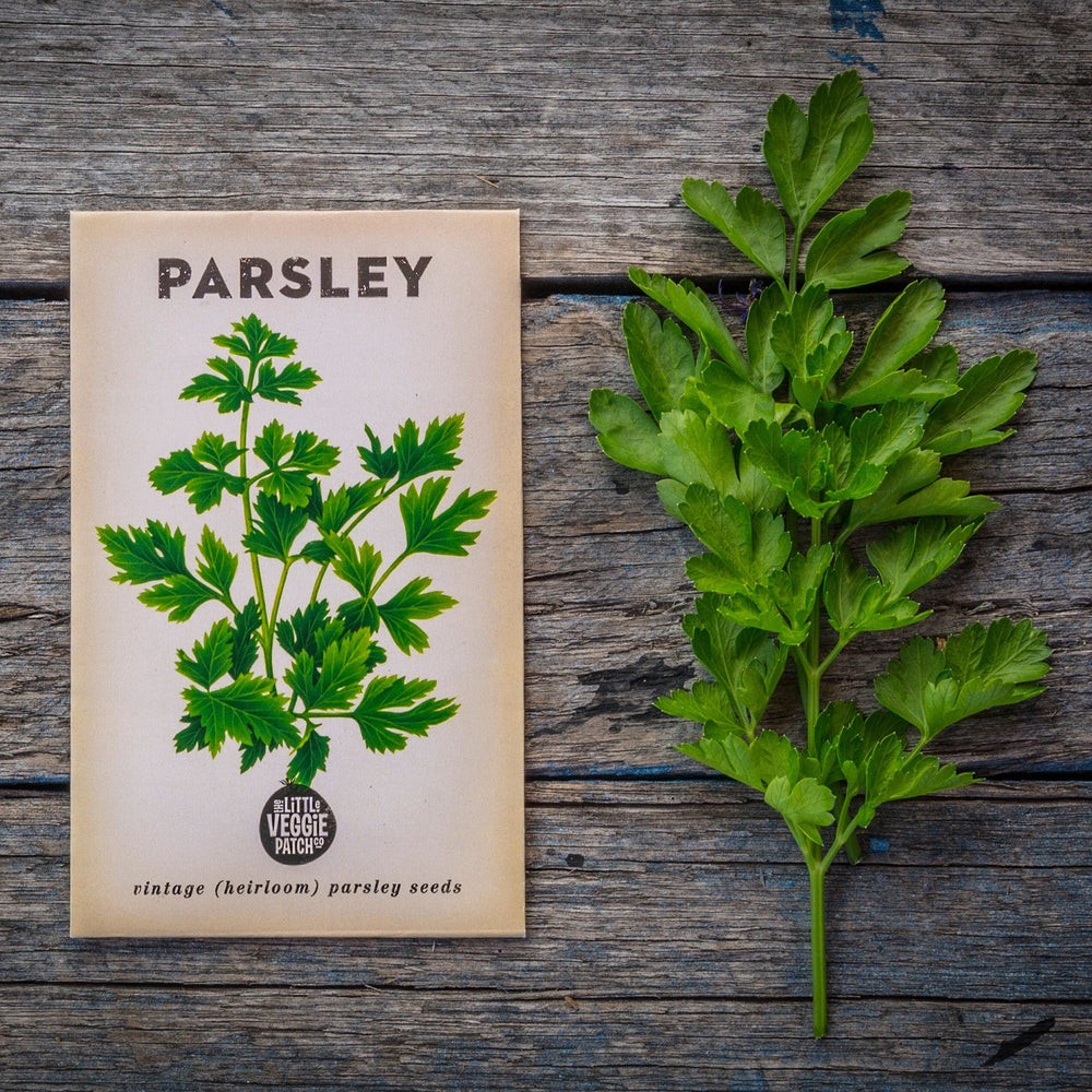 The Little Veggie Patch Co - Parsley Italian Heirloom - Seeds