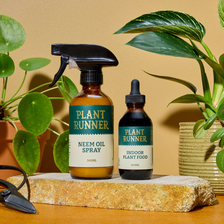 Plant Runner - Plant - Parent Essentials