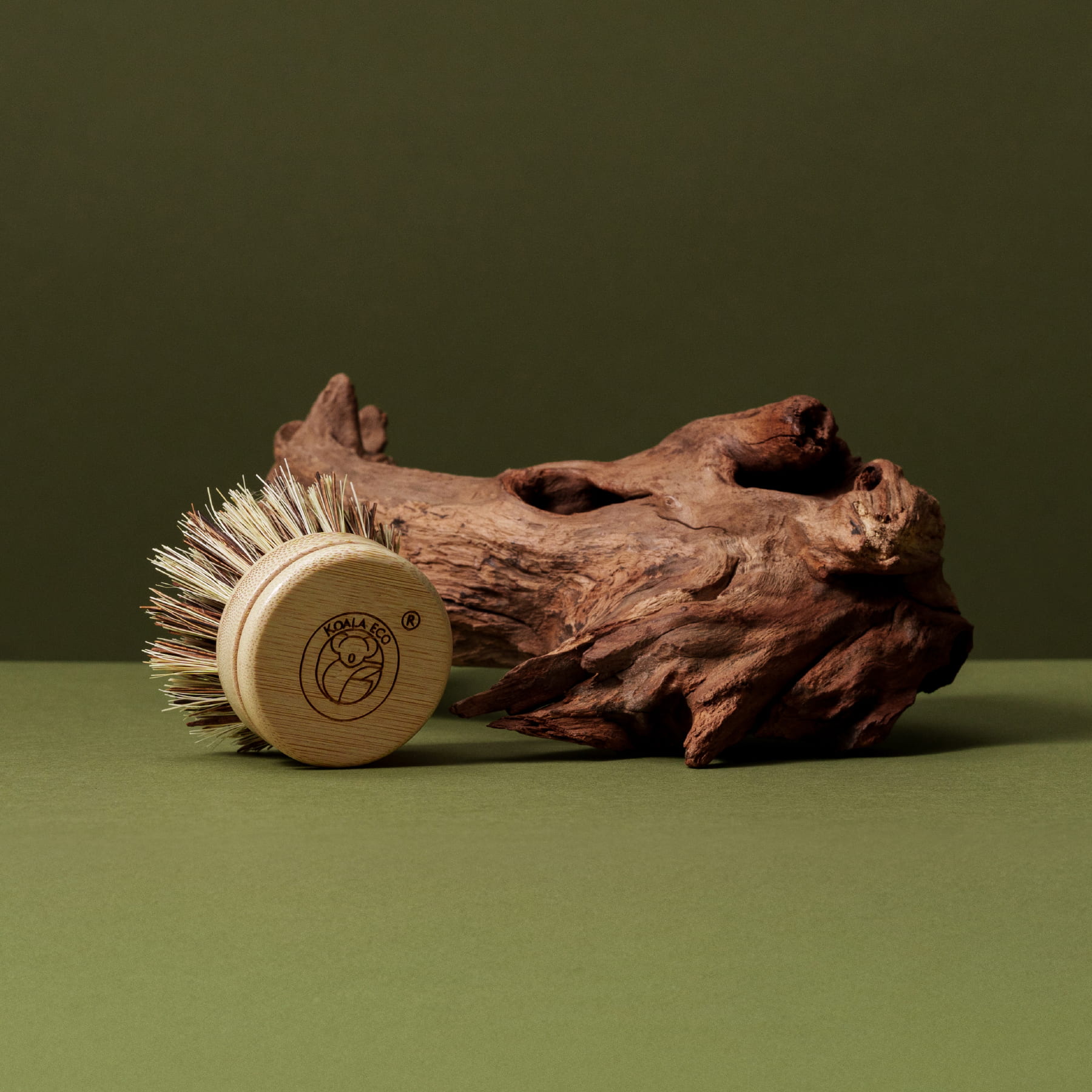 Koala Eco - Traditional - Dish Brush