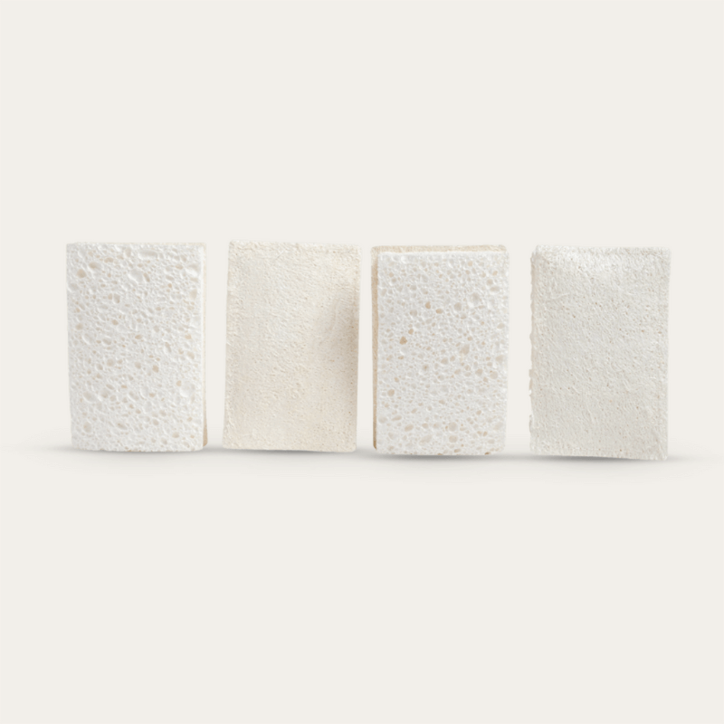 Seed & Sprout compostable sponge with loofah scourer side