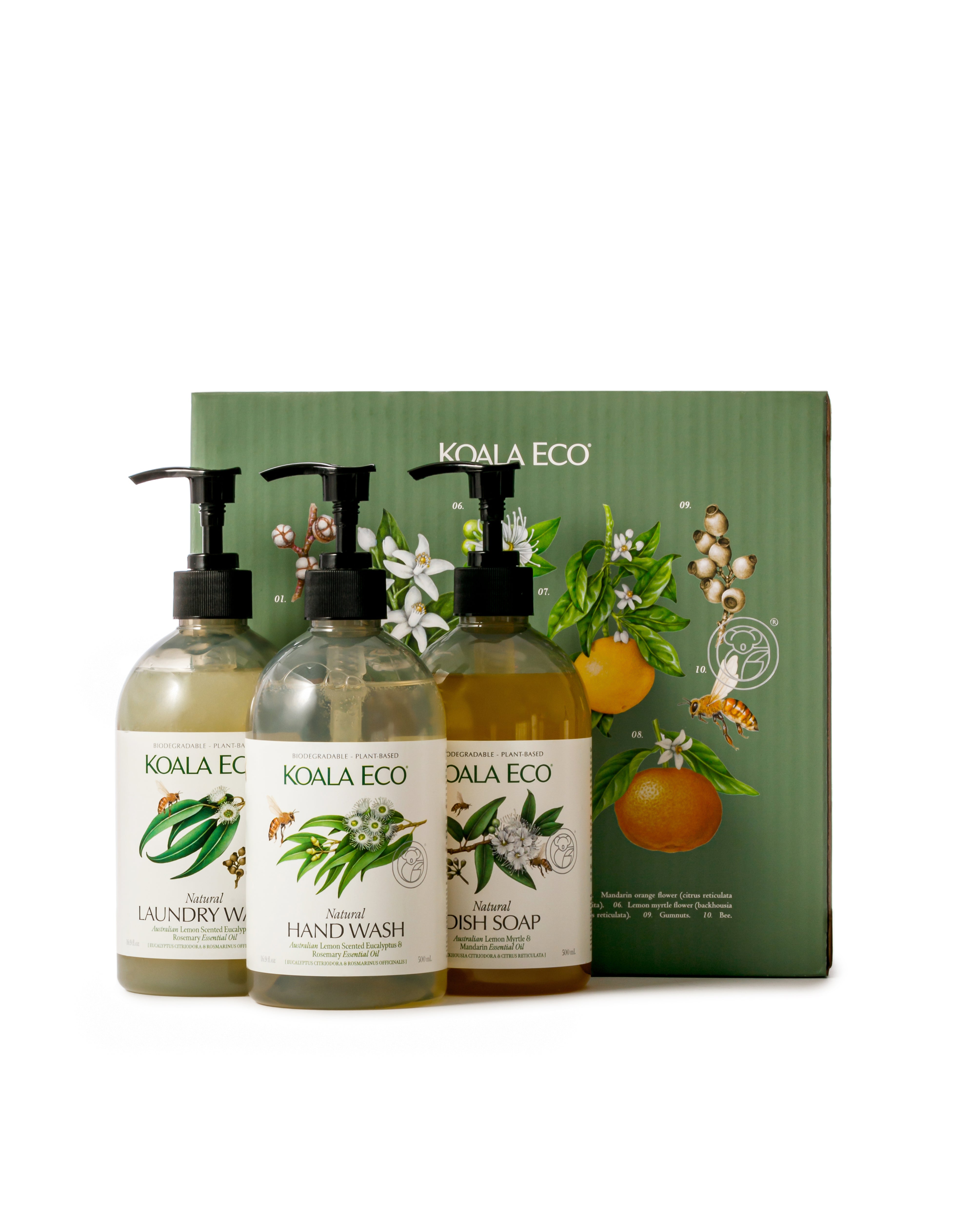 Koala Eco - Nature Studies -  Gift Set