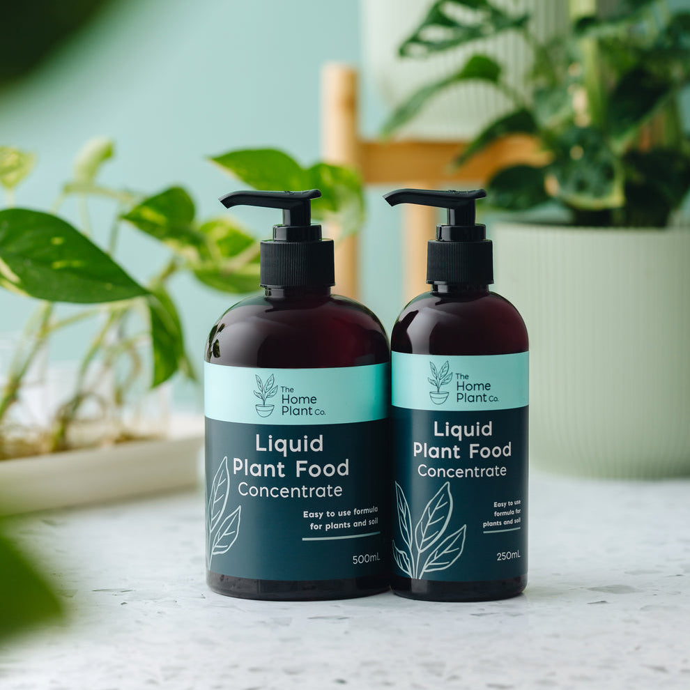 The Home Plant Co - Liquid Concentrate - Plant Food