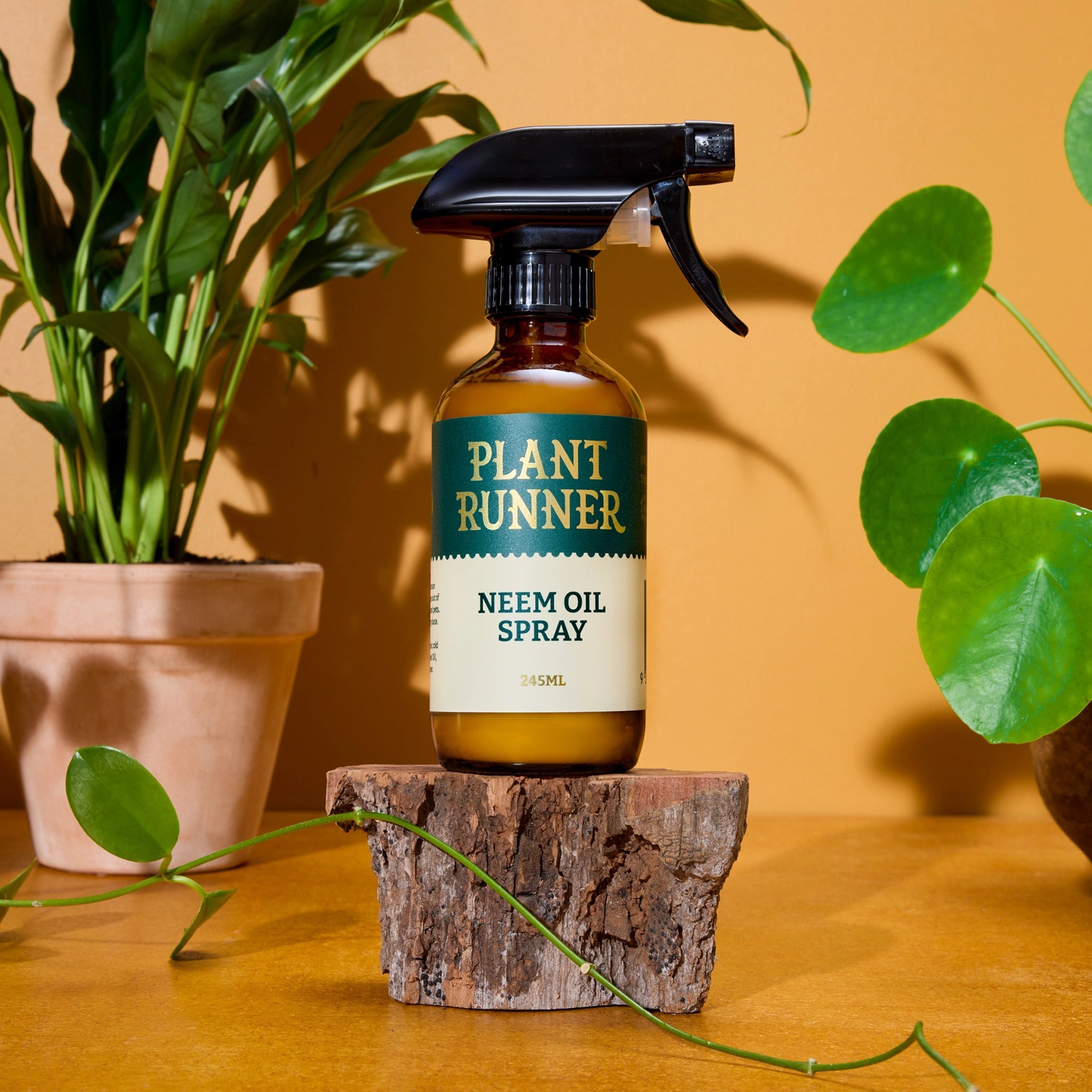 Plant Runner - Leaf Shine - Neem Oil