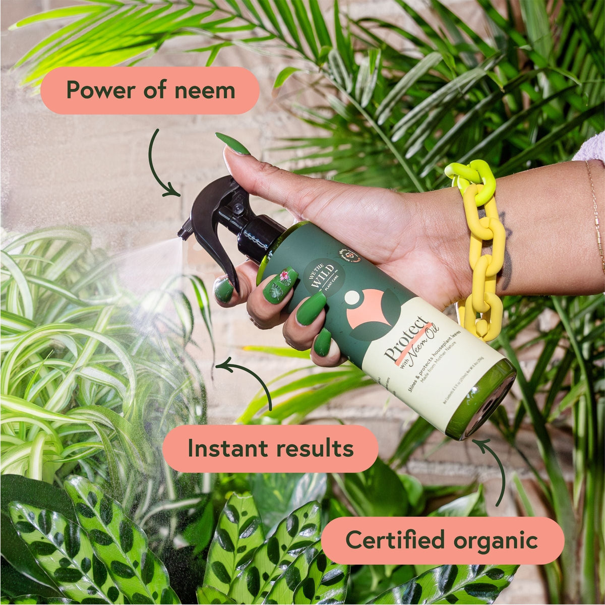 We The Wild plant care styled with houseplants