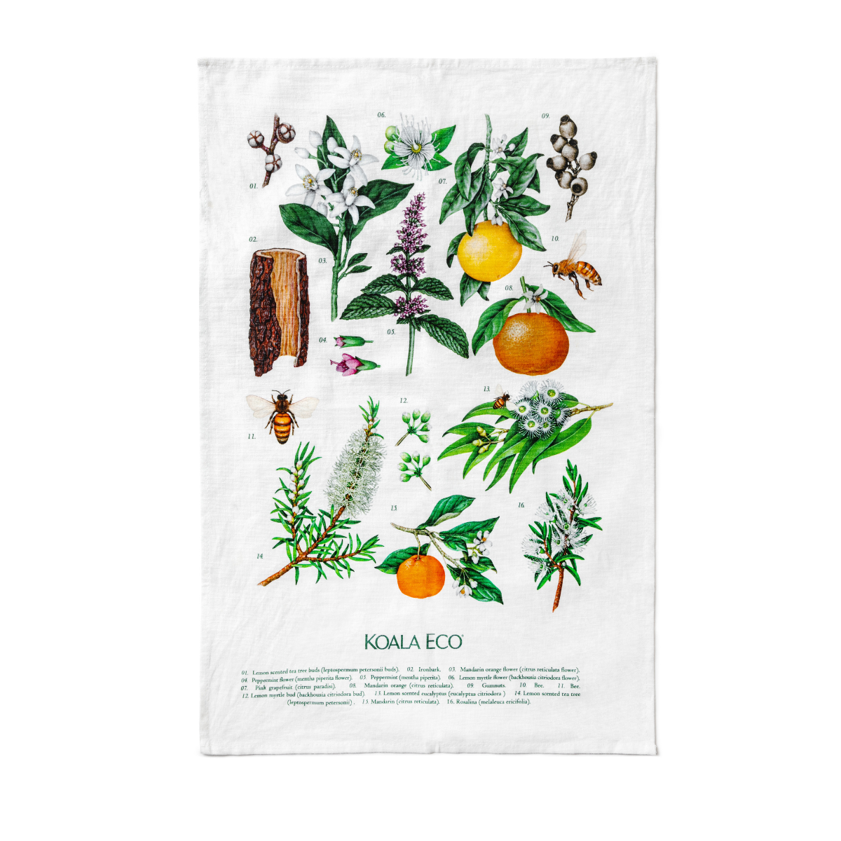 Koala Eco Botanical - Tea Towel
