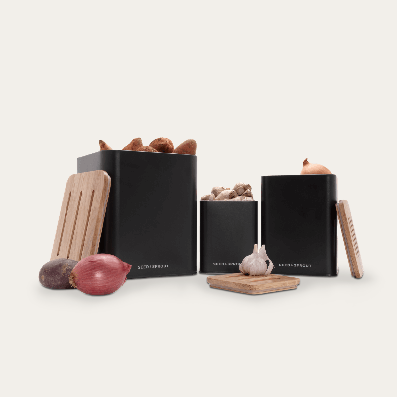 Seed & Sprout - Liquorice Storage Container - Vegetable Box