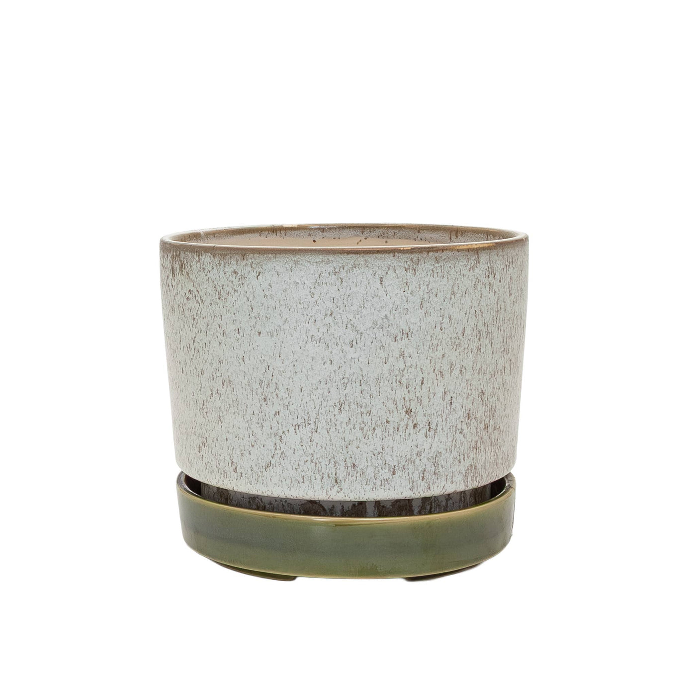 Potted - Large Pollock Limestone - Planter