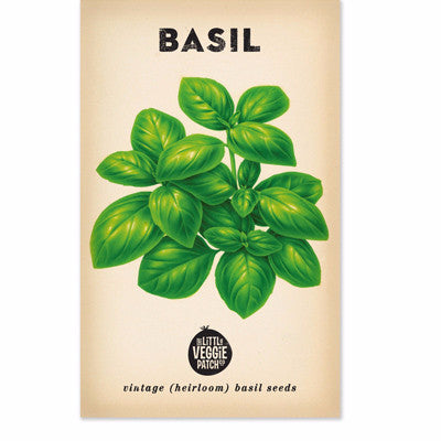 The Little Veggie Patch Co - Basil Large Sweet Genova Heirloom - Seeds