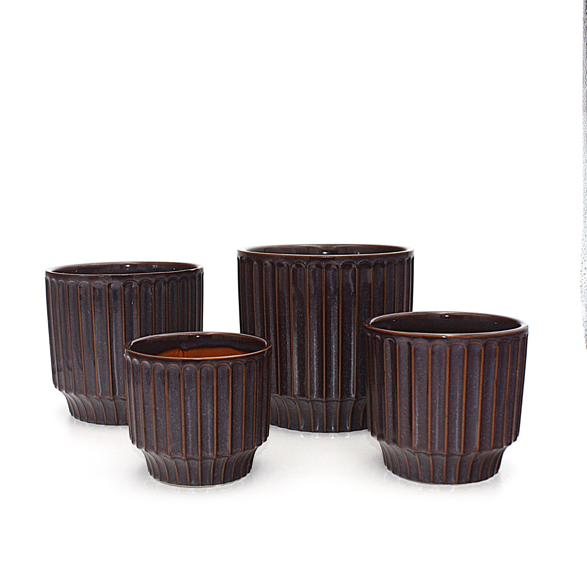 Potted - Small Pillar Plum - Planter
