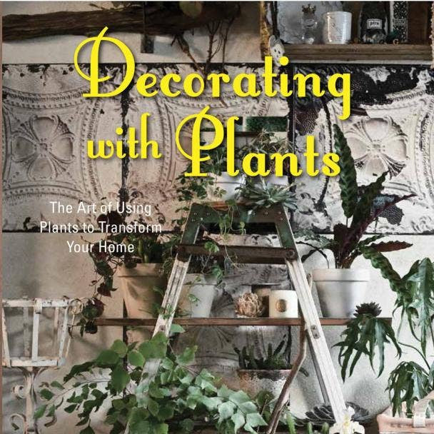 Decorating with Plants by Satoshi Kawamoto, plant styling book, front cover